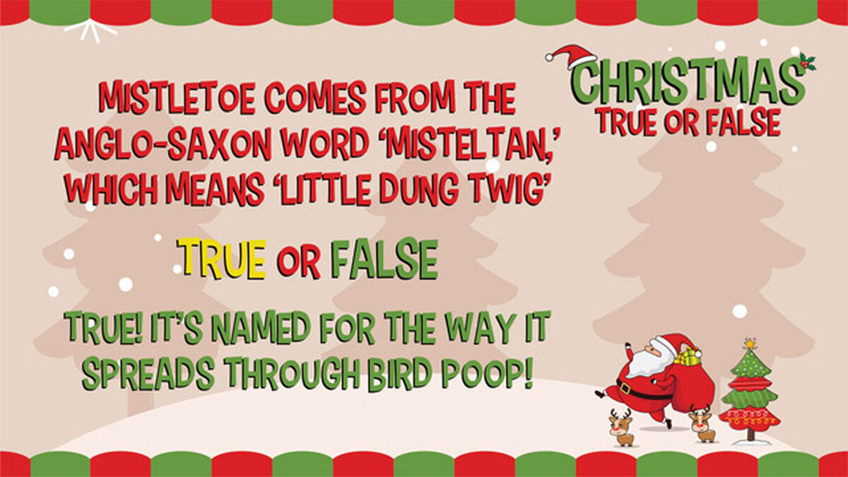 Christmas True or False image number null
